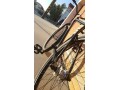 specialized-pfix-fizik-thomson-odyssey-small-3