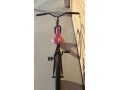 specialized-pfix-fizik-thomson-odyssey-small-2