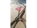 specialized-pfix-fizik-thomson-odyssey-small-1