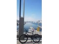 specialized-pfix-fizik-thomson-odyssey-small-0