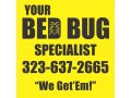 got-bug-problems-small-2