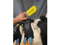 diving-gear-obo-takes-all-small-3