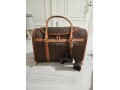 brand-new-small-dog-airplane-carrier-small-5