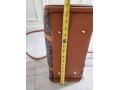 brand-new-small-dog-airplane-carrier-small-4