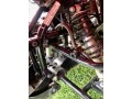 2020-honda-fourtrax-recon-250-es-small-0