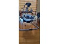 graco-duetsoothe-swing-and-rocker-small-0