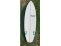 cordell-surfboard-small-2