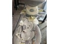 nice-fisher-price-sweet-snugapuppy-cradle-n-swing-small-0