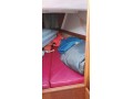 1973-cal-jensen-29ft-sailboat-small-10