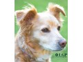 le-giant-photography-photographer-free-or-near-zero-prices-small-0