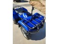 yamaha-grizzly-350-small-7