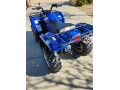 yamaha-grizzly-350-small-5