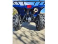 yamaha-grizzly-350-small-4