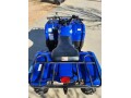 yamaha-grizzly-350-small-3