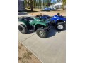 yamaha-grizzly-350-small-0