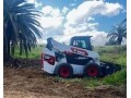 have-bobcat-will-travel-small-2