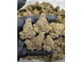 buy-top-quality-420-delivery-small-1