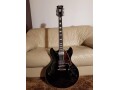dangelico-premier-electric-12-string-guitarnew-in-excellent-cod-small-2