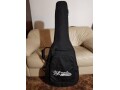dangelico-premier-electric-12-string-guitarnew-in-excellent-cod-small-0