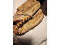 rare-1960s-babe-ruth-baseball-glove-small-3