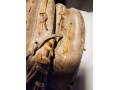 rare-1960s-babe-ruth-baseball-glove-small-1