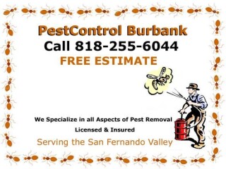 quick-reliable-pest-control-call-today