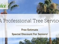 enriques-tree-service