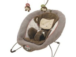 snugapuppy-deluxe-bouncer