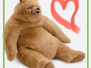 weight-loss-surgery-for-my-stuffed-bear