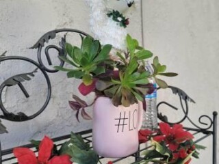 rae-dunn-love-mug-with-organic-well-rooted-succulents