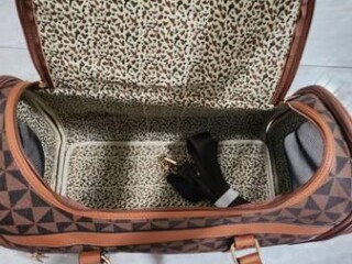 brand-new-small-dog-airplane-carrier