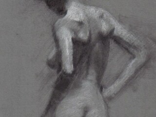 female-model-wanted