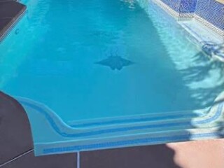 free-estimate-pool-or-construction