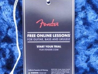 fender-stratocaster-case-black-wbig-amp-logo-blue-int-new