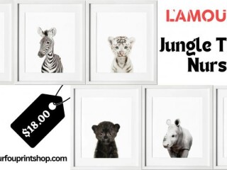 create-a-lively-jungle-theme-nursery-with-lamour-fous-art