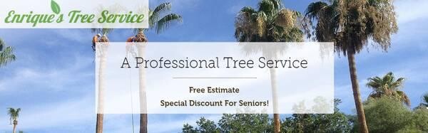 enriques-tree-service-big-0