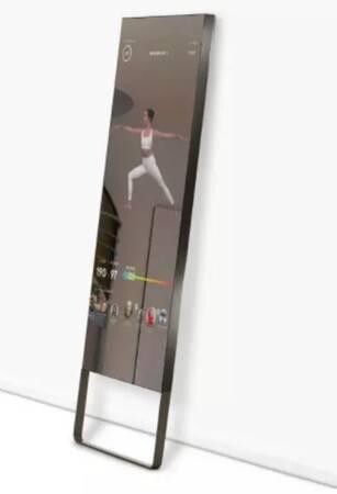 the-mirror-nearly-invisible-gym-at-home-big-5