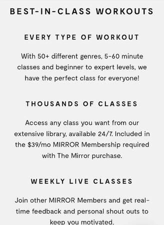 the-mirror-nearly-invisible-gym-at-home-big-1