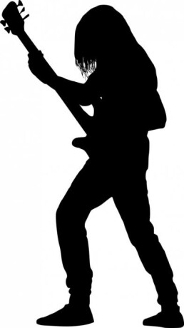 bass-player-wanted-professional-band-big-0