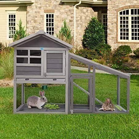 rabbit-hutch-small-animal-house-big-4