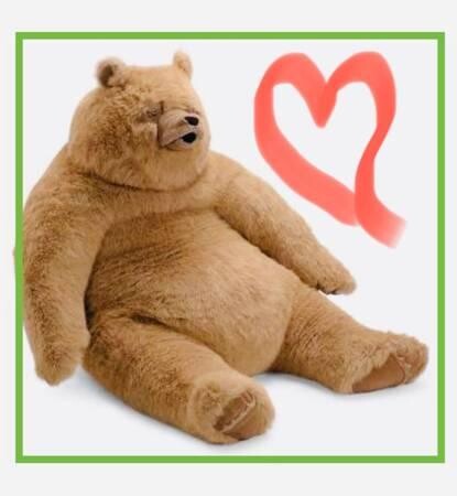 weight-loss-surgery-for-my-stuffed-bear-big-0