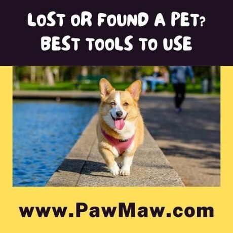 missing-pet-missing-dog-cat-notify-your-neighbors-big-0