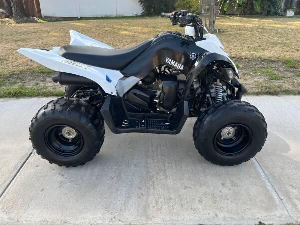yamaha-raptor-90-big-1