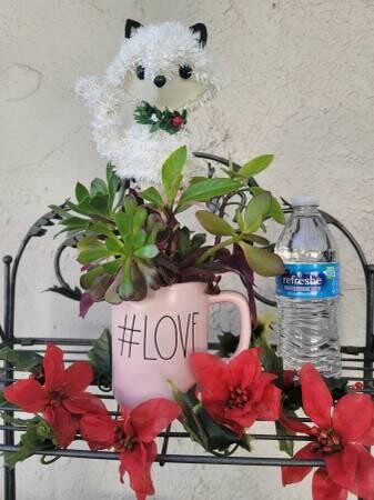 rae-dunn-love-mug-with-organic-well-rooted-succulents-big-7