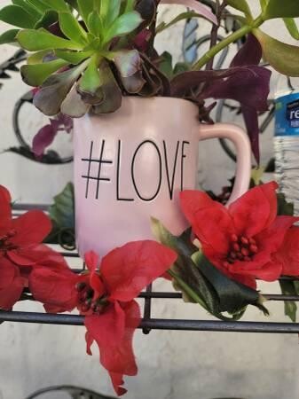 rae-dunn-love-mug-with-organic-well-rooted-succulents-big-6