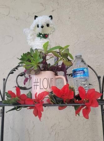 rae-dunn-love-mug-with-organic-well-rooted-succulents-big-4