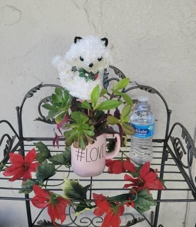 rae-dunn-love-mug-with-organic-well-rooted-succulents-big-3