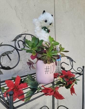rae-dunn-love-mug-with-organic-well-rooted-succulents-big-0