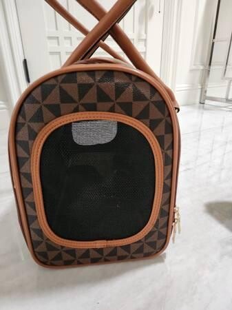 brand-new-small-dog-airplane-carrier-big-1