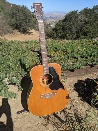 yamaha-nippon-gakki-fg-300-acoustic-guitar-red-label-big-9